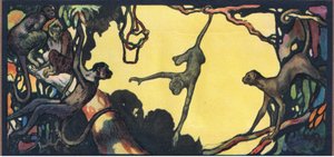 Spider Monkeys