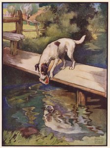 The Dog and the Shadow by John Edwin Noble