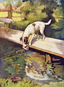 The Dog and the Shadow (book illustration)