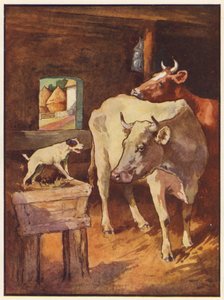 The Dog in the Manger