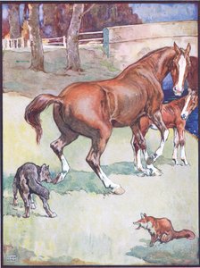 The Mare Lifted Her Hoof, Illustration for Reynard the Fox, from Animal Legends from Many Lands