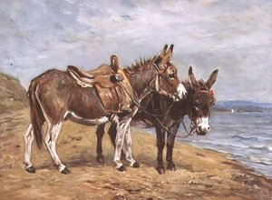 Seaside Donkeys