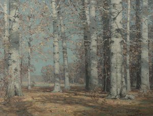 Autumn Beeches