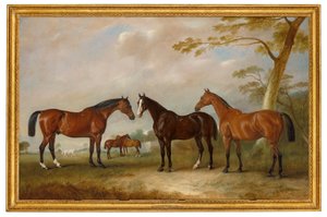 Intrepid, Conqueror and Bay Bolton with Silkman and Darnley beyond in a landscape
