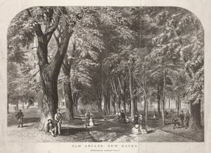 Elm Arcade View of the Green