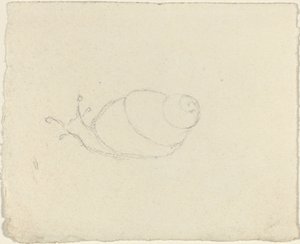 Snails (recto and verso)