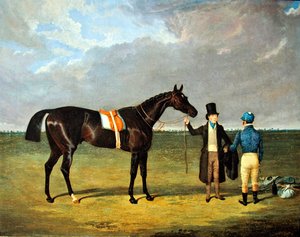 The Saddler
