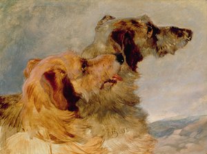 Two Deerhounds