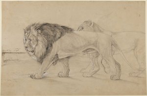Lions by John Frederick Lewis