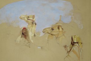 Study of Camels with Bedouin Drivers in the Desert of Mount Sinai