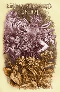 A Midsummer Night