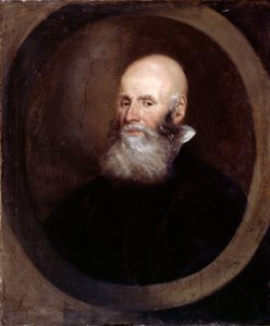 Head of a Bearded Man