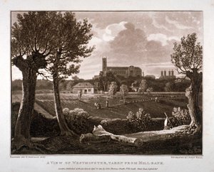 View of Westminster Looking from Millbank, London, 1807