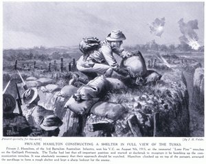 Private Hamilton Constructing a Shelter in Full View of the Turks at the Lone Pine Trenches on Gallipoli Peninsula August 1915 by John Harris Valda