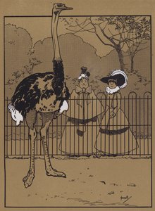 Ostrich Feathers by John Hassall