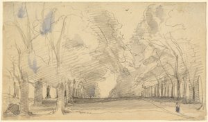 Avenue of Trees