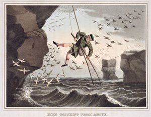 Bird Catching from Above, Engraved by Matthew Dubourg, Published by Edward Orme, 1813 by John Heaviside Clark