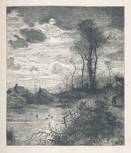 A pond, from 