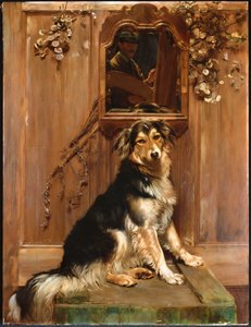 A Dog and a Mirror