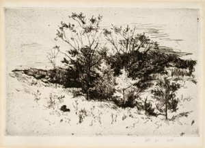 Landscape near Cincinnati