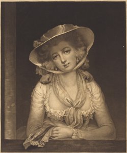 Sophia Western, Fielding