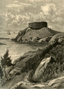 Old Fort Dumpling