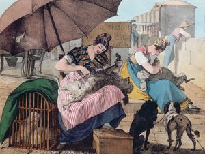 Dog Clippers on the Pont-Neuf