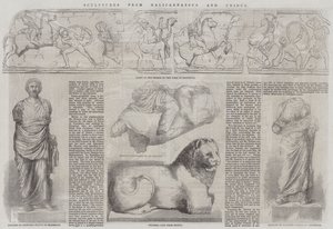 Sculptures from Halicarnassus and Cnidus