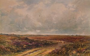 Stormy Day on a Surrey Common by John Jessop Hardwick