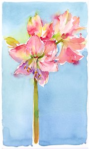 Amaryllis with aqua background, 2015 by John Keeling