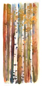 Birches in Autumn, 2013 by John Keeling