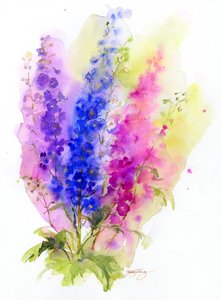 Delphinium, 2016 by John Keeling