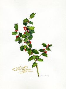 Holly botanical, 2013 by John Keeling