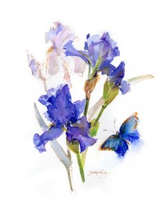 Iris with blue butterfly, 2016 by John Keeling
