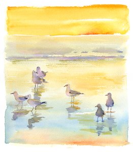Seagulls on beach, 2014