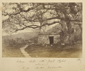 Valonea Oaks with Greek Chapel above, B.H. Renkioi, Dardanelles by John Kirk