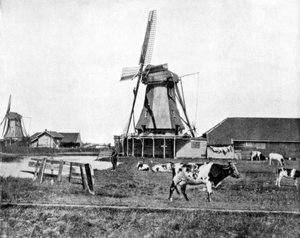 Dutch Windmills, Holland