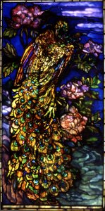 Peacock Window