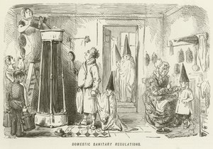Domestic Sanitary Regulations