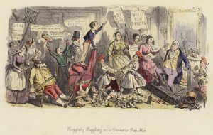 Higgledy-Piggledy, or a Domestic Republic by John Leech