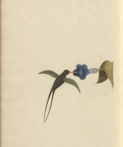 A page from the 
