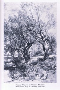 Woodcutters on the Outskirts of Windsor Forest, Nature in Britain by John Linnell