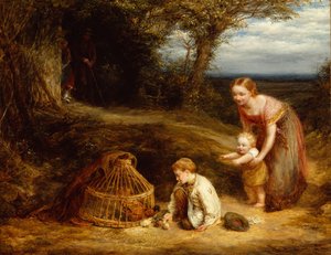 Young Brood