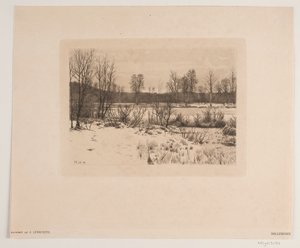 Bøllemosen by John Lübschitz