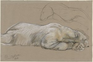 Studies of a Recumbent Polar Bear by John Macallan Swan