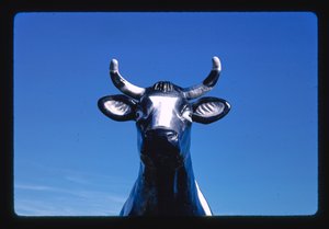 Chatty Belle the Cow Statue Detail, Cheese and Gift Shop, Neillsville, Wisconsin, USA by John Margolies