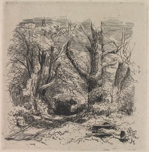 A Path through the Wood by John Middleton