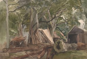 Clearing with a Lumber Mill, 1847 by John Middleton