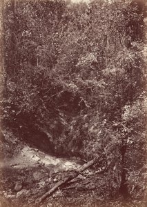 Darien Expedition, 1871 by John Moran