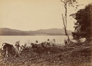 Darien Harbor, Chipigana, 1871 by John Moran